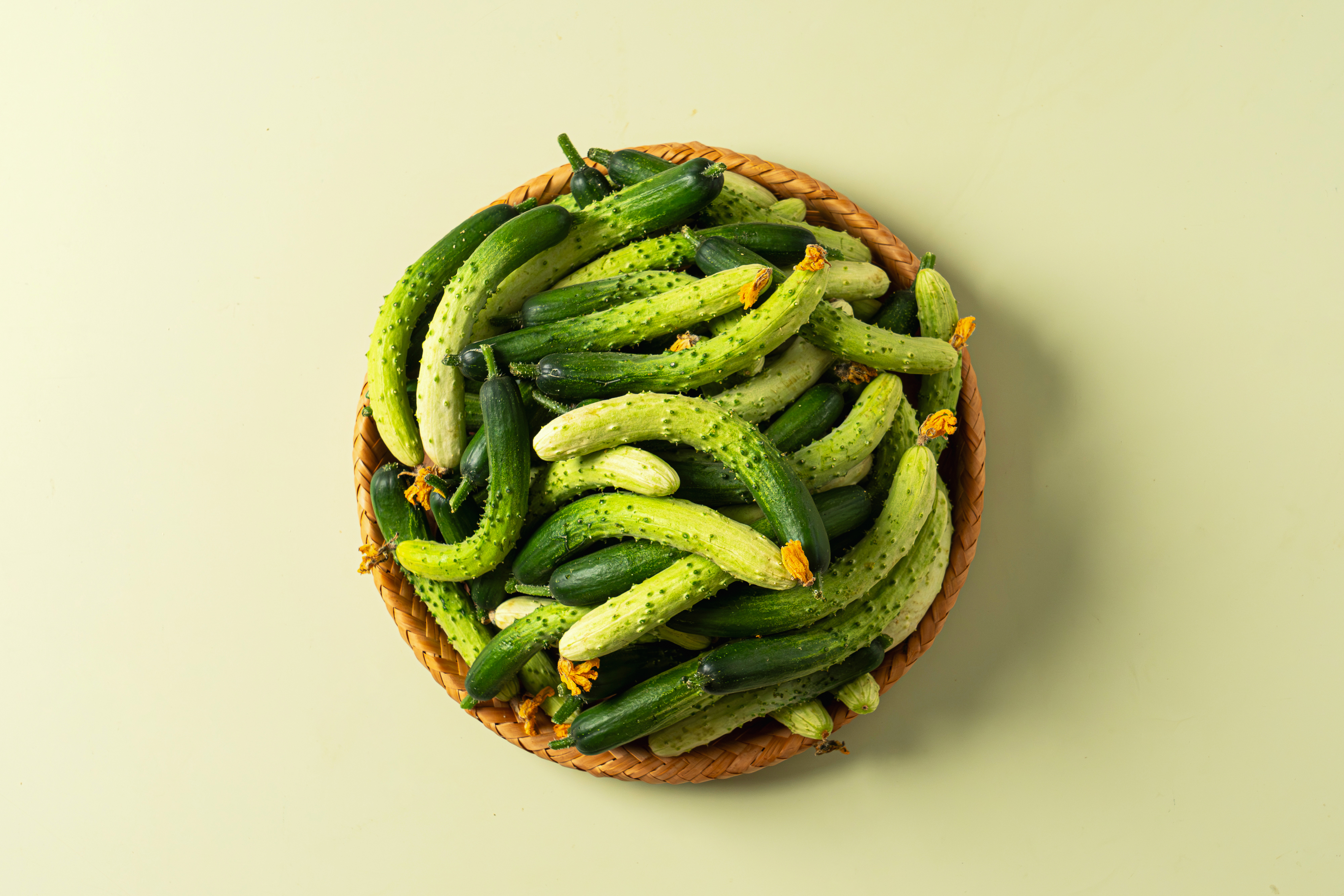 한입오이 1